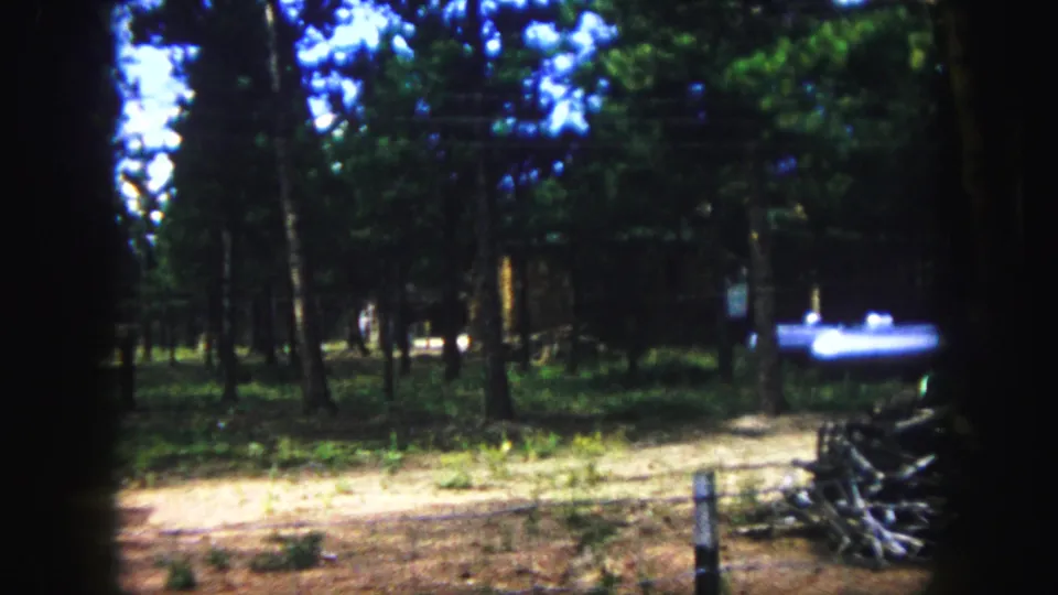 1958 Colorado Springs home-movie frame showing a wooded yard with tall pines, dirt ground, and a softly blurred light object in the distance.