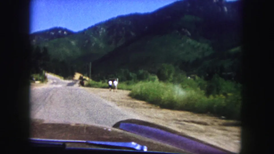 The road opens ahead through green Colorado Springs hills, with small roadside figures and the car hood visible at the bottom edge.