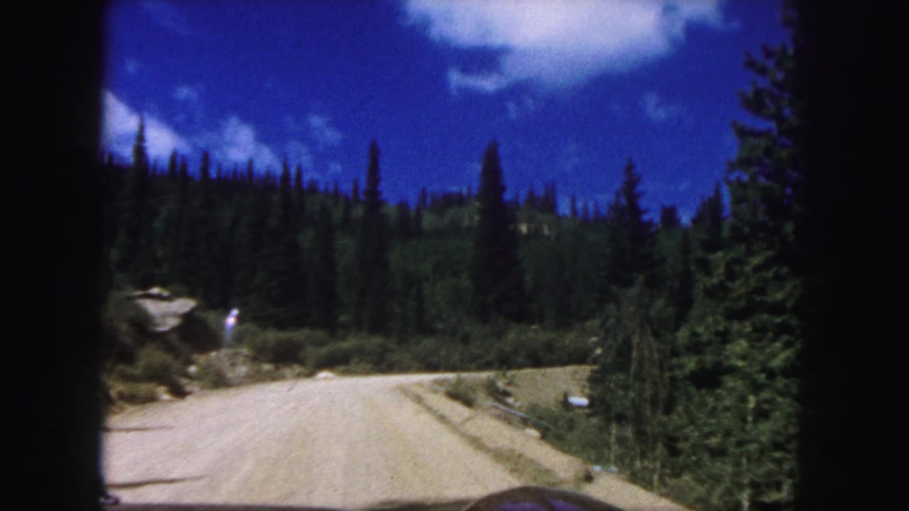 Dirt road curving through pine forest under a bright blue sky.