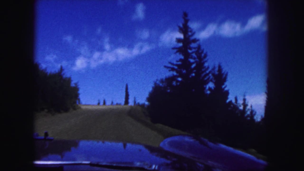 Car hood and windshield view facing uphill on a dirt road lined with dark evergreen trees.