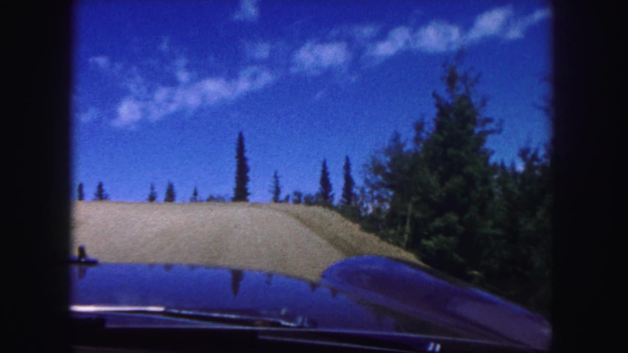 Windshield view over a car hood toward a pale mountain road, blue sky, and pine trees.
