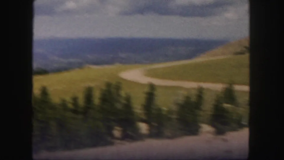 Soft 8mm Colorado frame with a winding mountain road, blurred evergreen foreground, grassy slope, and distant ridge line.