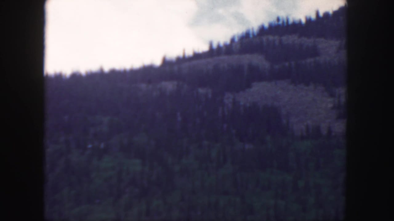 1958 Colorado home-movie frame showing a wooded hillside beneath a bright sky, with soft focus and dark film gate edges.