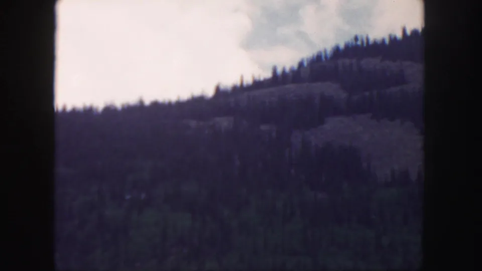1958 Colorado home-movie view of a shadowed forested hill, with visible grain, soft detail, and dark film borders.