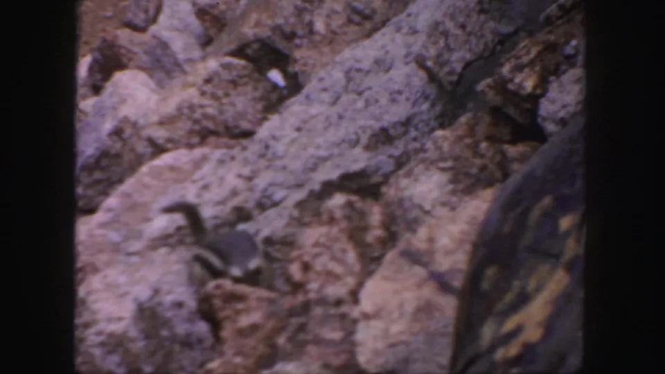 1958 Colorado frame showing close rocky roadside terrain and a dark partial object at the right edge during the drive.