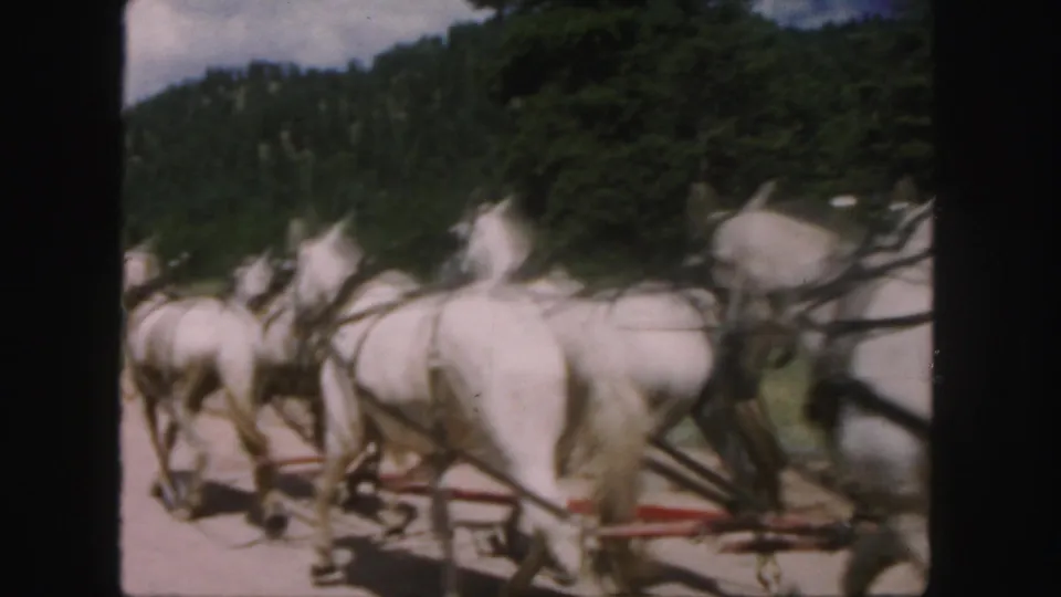 Motion-blurred 1958 Colorado frame of white horses pulling a red-wheeled carriage past a wooded hillside.