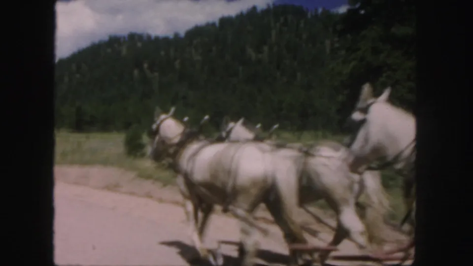 A team of white horses pulls a red carriage away on a Colorado mountain road in the final 1958 8mm frame.