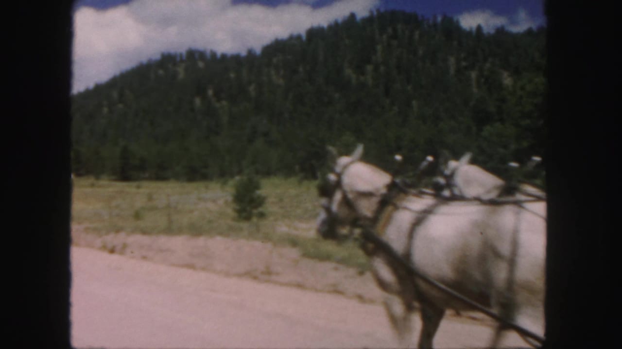 Two white horses pulling a carriage beside a dirt road in open mountain country.