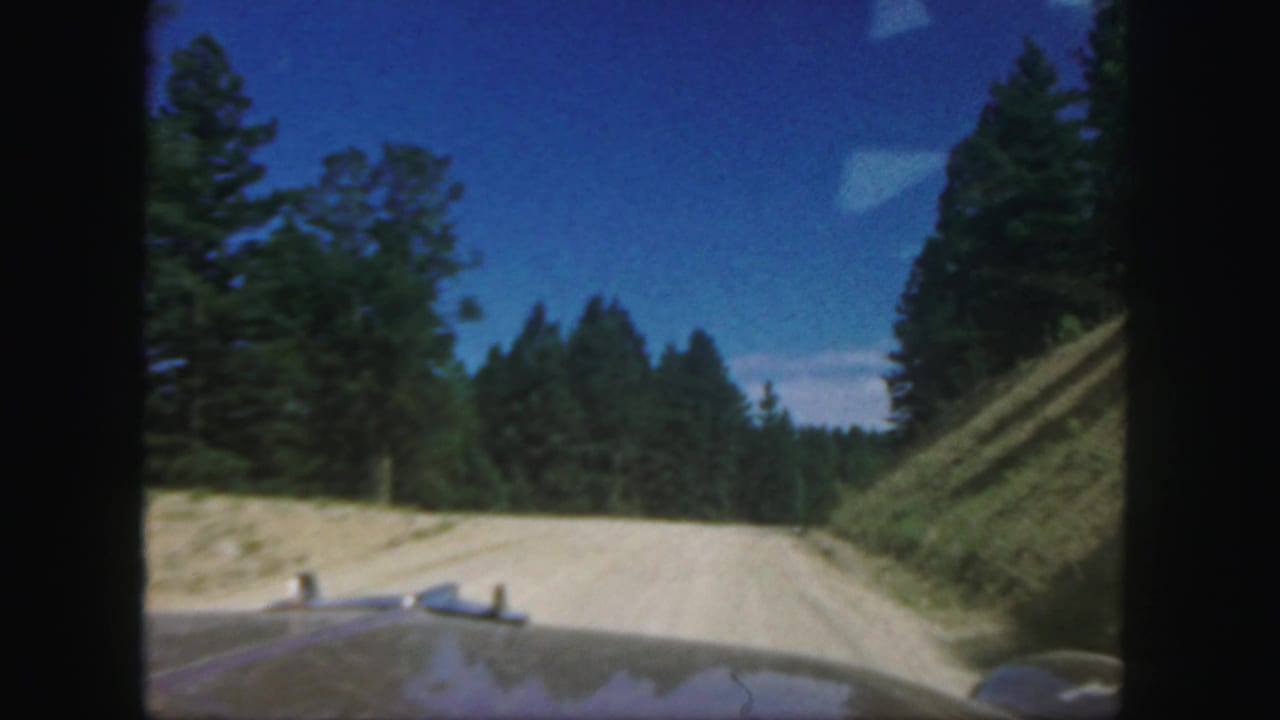 Dirt road through evergreen forest seen from a moving vehicle.