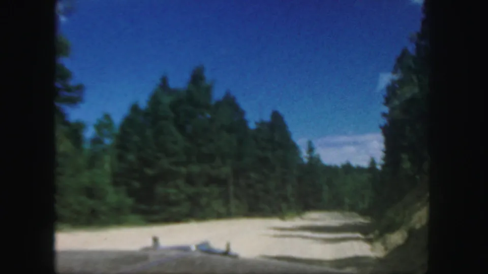 1958 Colorado 8mm frame showing a curving mountain road, evergreen trees, and the front edge of a vehicle in bright daylight.