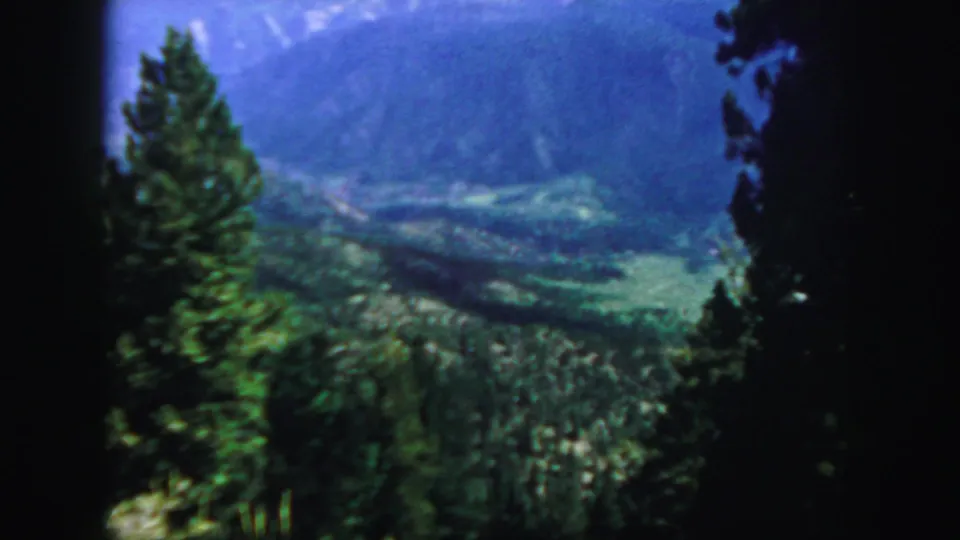 1958 Colorado 8mm frame with a green valley and distant mountain slopes seen through tall evergreens.