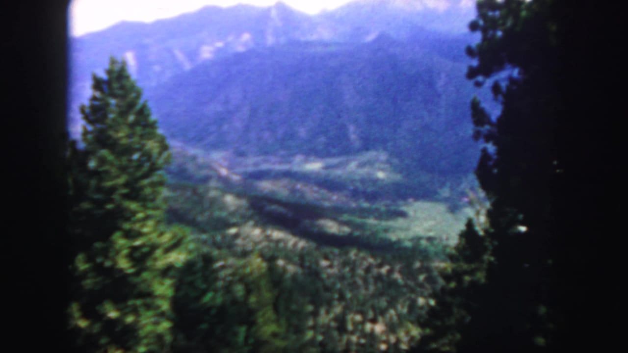 1958 Colorado 8mm view of a green mountain valley, distant ridges, and a foreground evergreen framed by dark tree trunks.
