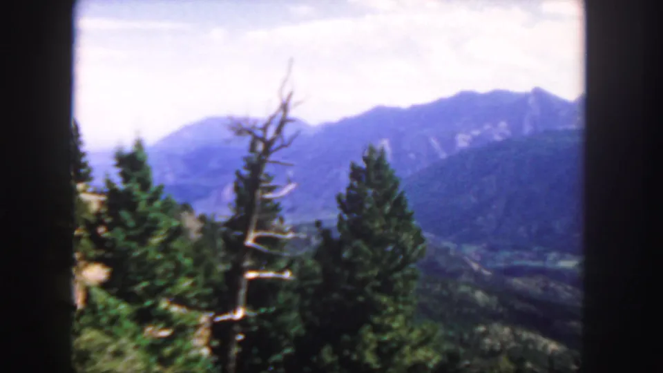 1958 Colorado home-movie view of bare branches, pine trees, valley terrain, and distant mountain ridges under a bright sky.