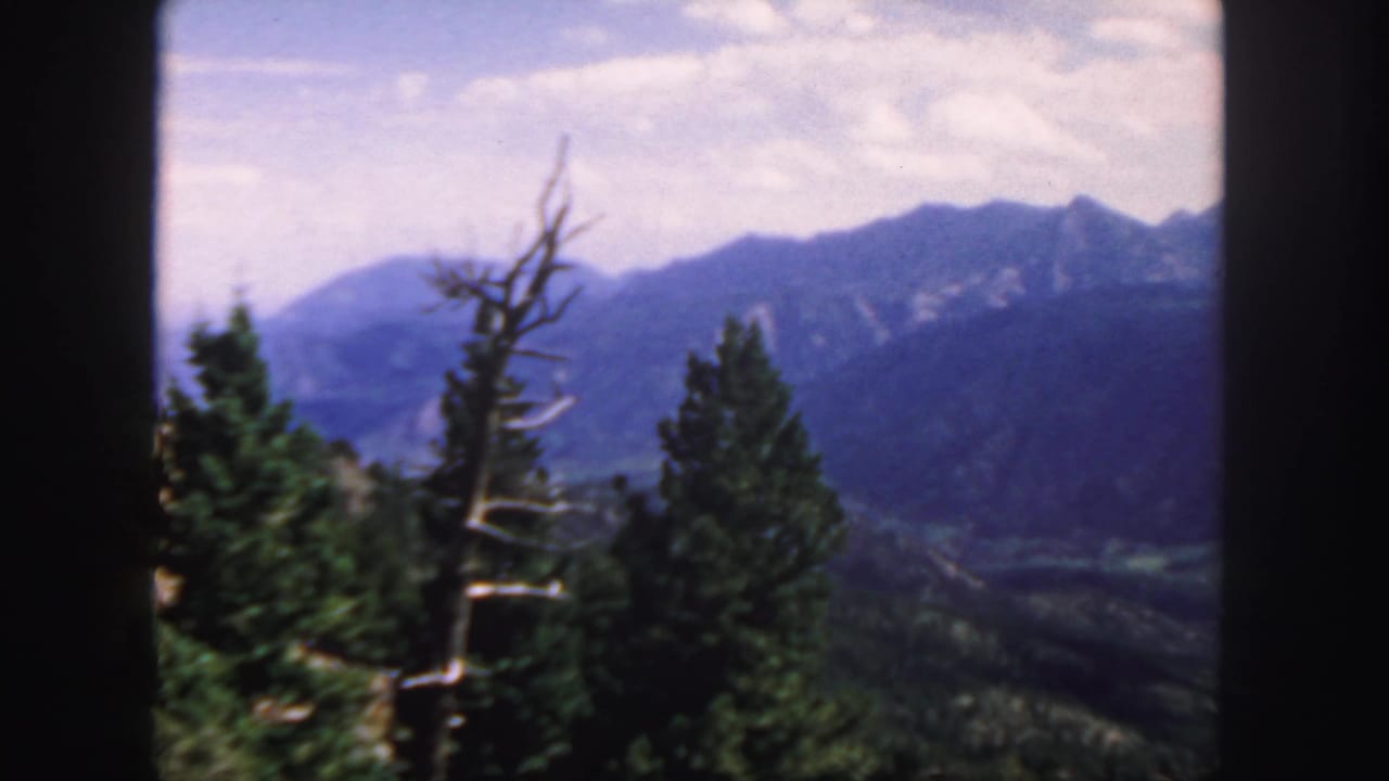 1958 Colorado 8mm frame showing blue mountain ridges, a green valley, evergreens, and a bare foreground tree.