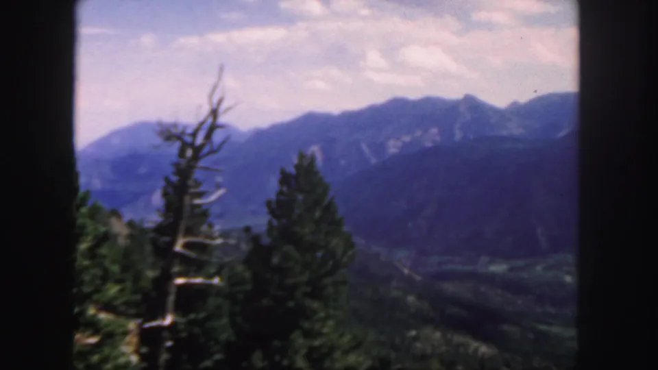 Colorado mountain overlook on 8mm film, with evergreens and a bare tree in front of blue ridges and valley terrain.