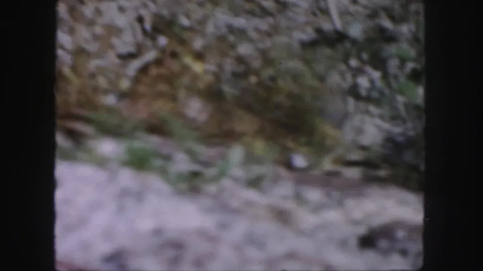 A blurred handheld 8mm view of rocks, soil, and low green brush as the camera shifts across the terrain.