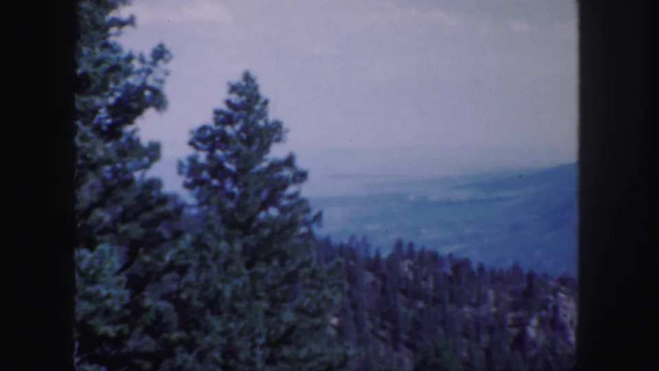 Colorado-associated 1958 8mm frame showing evergreen trees in the foreground and a hazy mountain valley beyond.