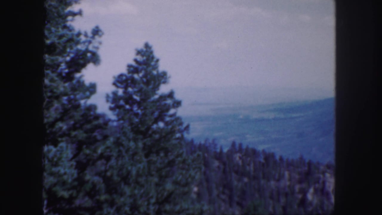 1958 Colorado 8mm frame showing evergreen trees in the foreground and a hazy blue mountain valley beyond.