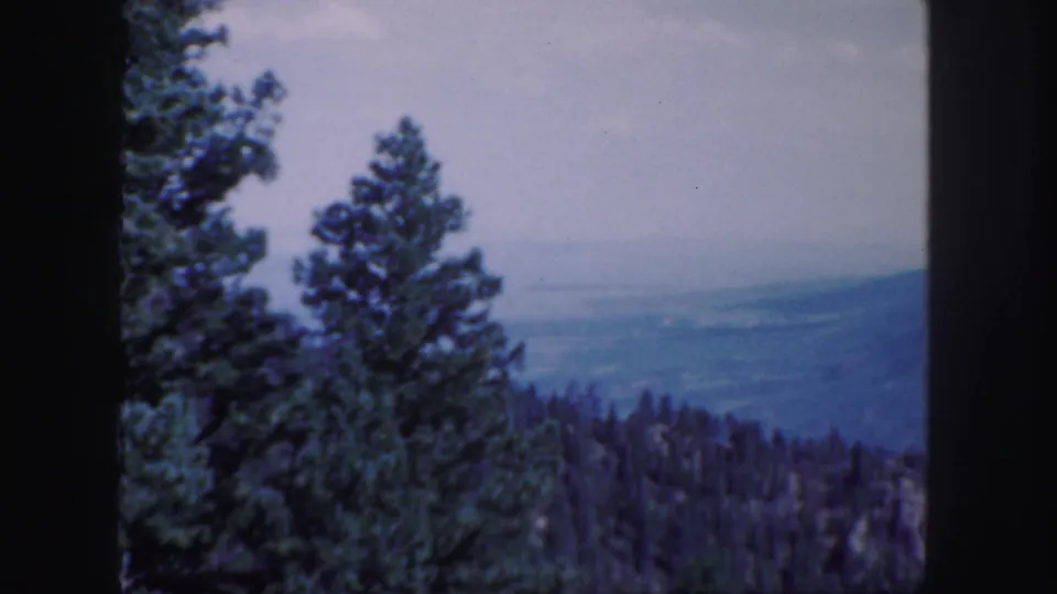1958 Colorado 8mm frame showing evergreen trees in the foreground and a hazy blue mountain valley beyond.