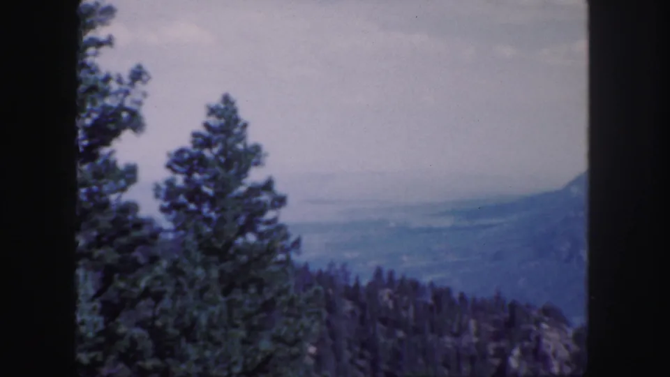 1958 Colorado home-movie frame with tall evergreens silhouetted against a hazy valley and distant mountain slope.