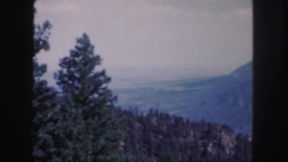 1958 Colorado 8mm frame showing evergreen branches, a wooded ridge, and a misty valley from a high viewpoint.