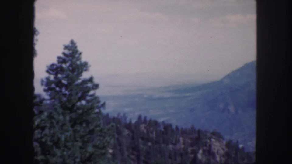 1958 Colorado home-movie frame centered on a tall evergreen with a soft, hazy mountain valley in the background.