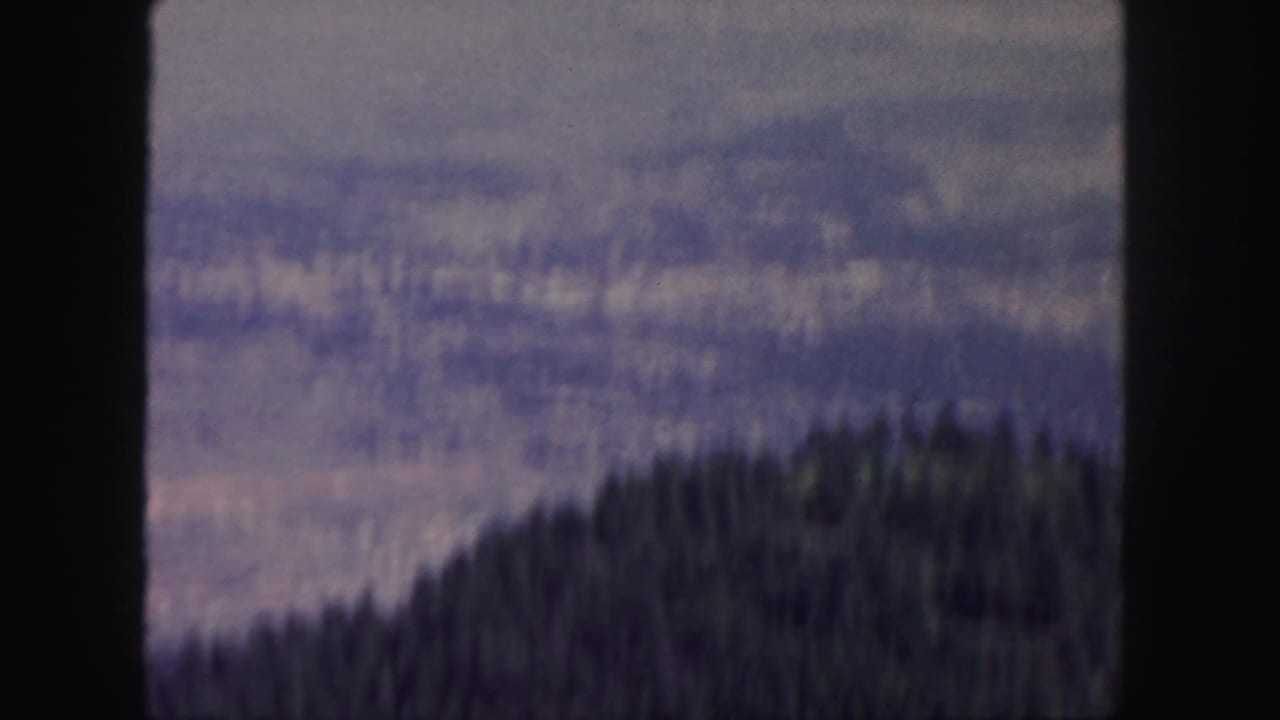 Blurred forested hillside below a hazy distant landscape.