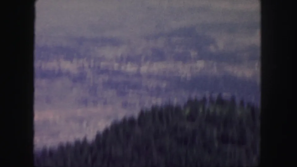 Soft 8mm view of a forested hillside and hazy Colorado landscape, framed by dark film edges.
