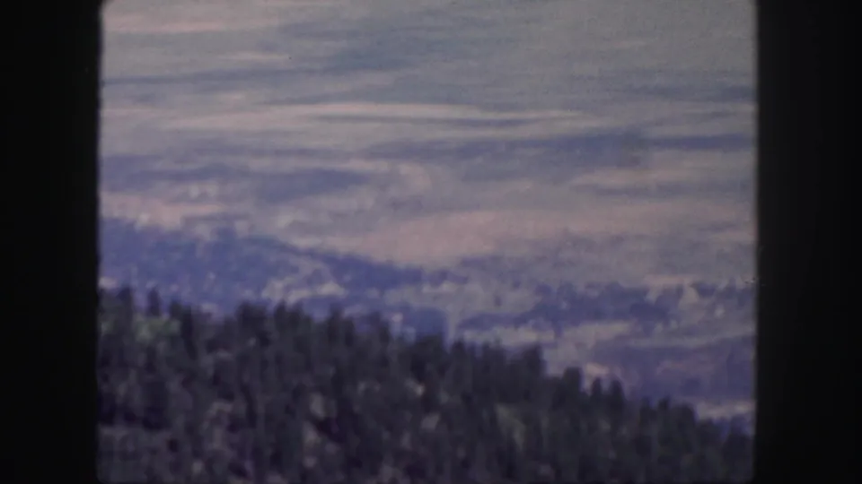 1958 Colorado home-movie frame with trees on a slope and a hazy elevated view beyond.