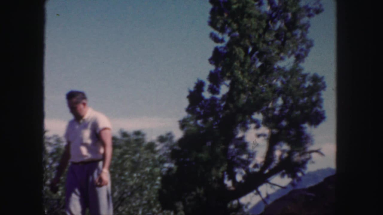 Adult man standing in an orchard beside trees under a bright sky.