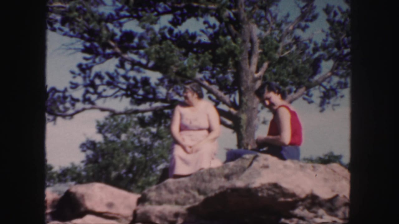 Two women seated on a rock under a pine tree in a mountain setting.