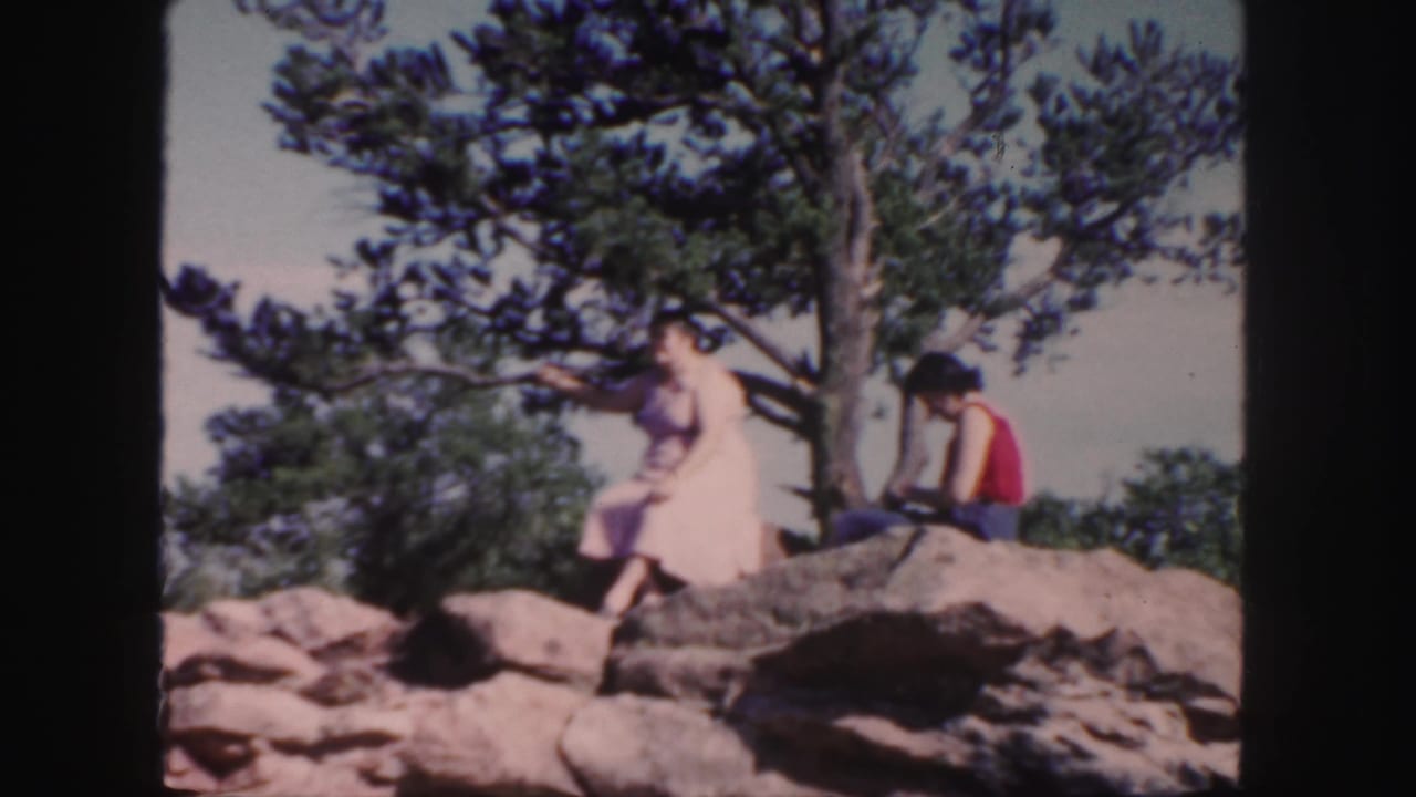 Woman on rocks gestures near a tree with another seated person behind her.