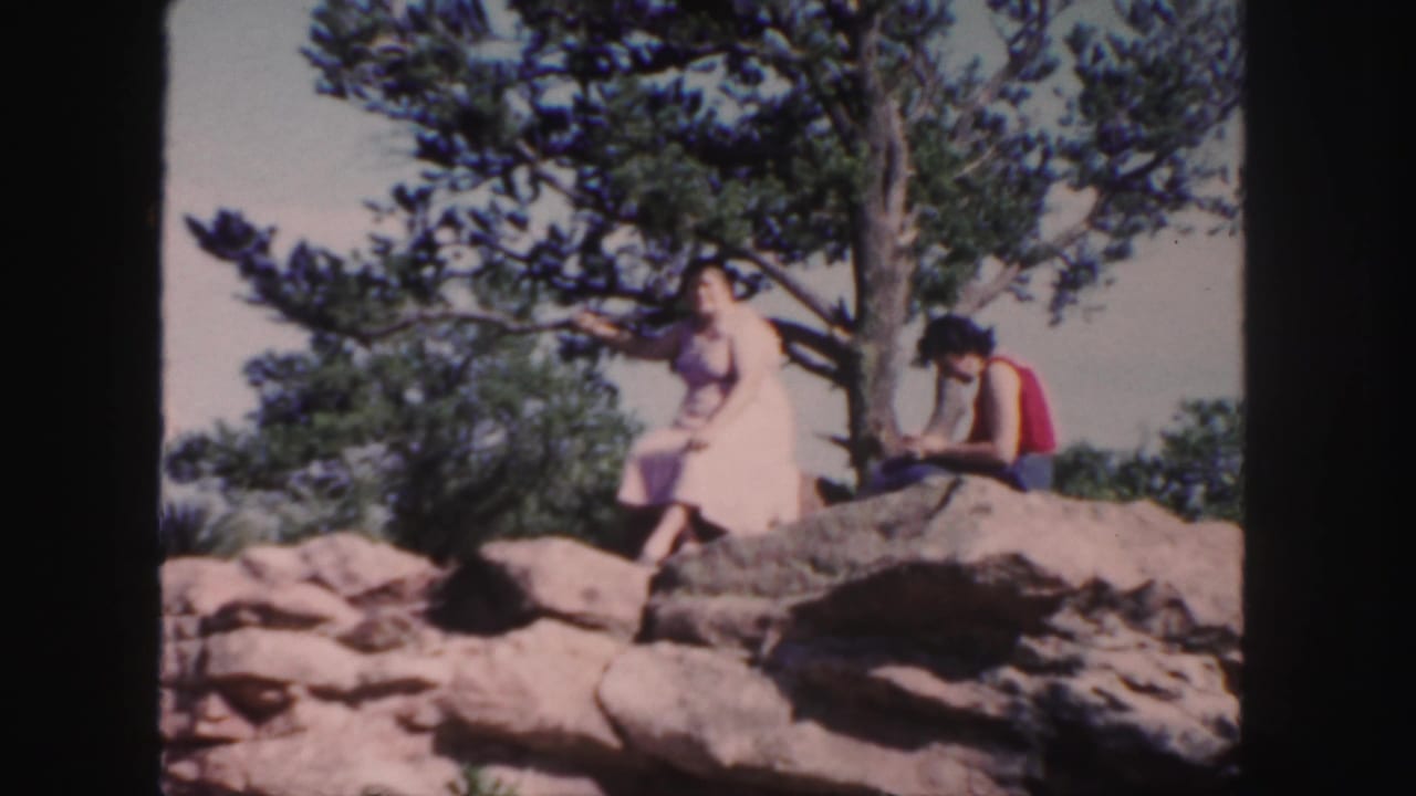Two adults sit on a rocky outcrop beneath a pine tree in dry terrain.