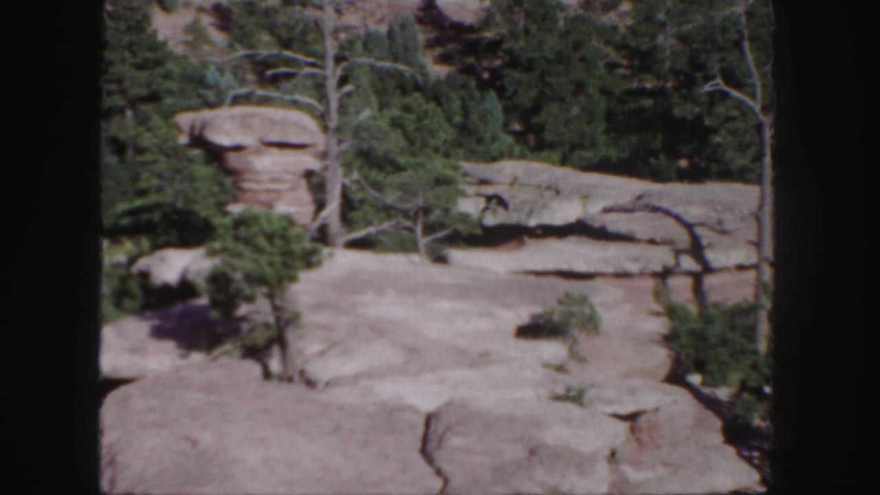 Rocky ledges and evergreen trees seen within an 8mm film frame.