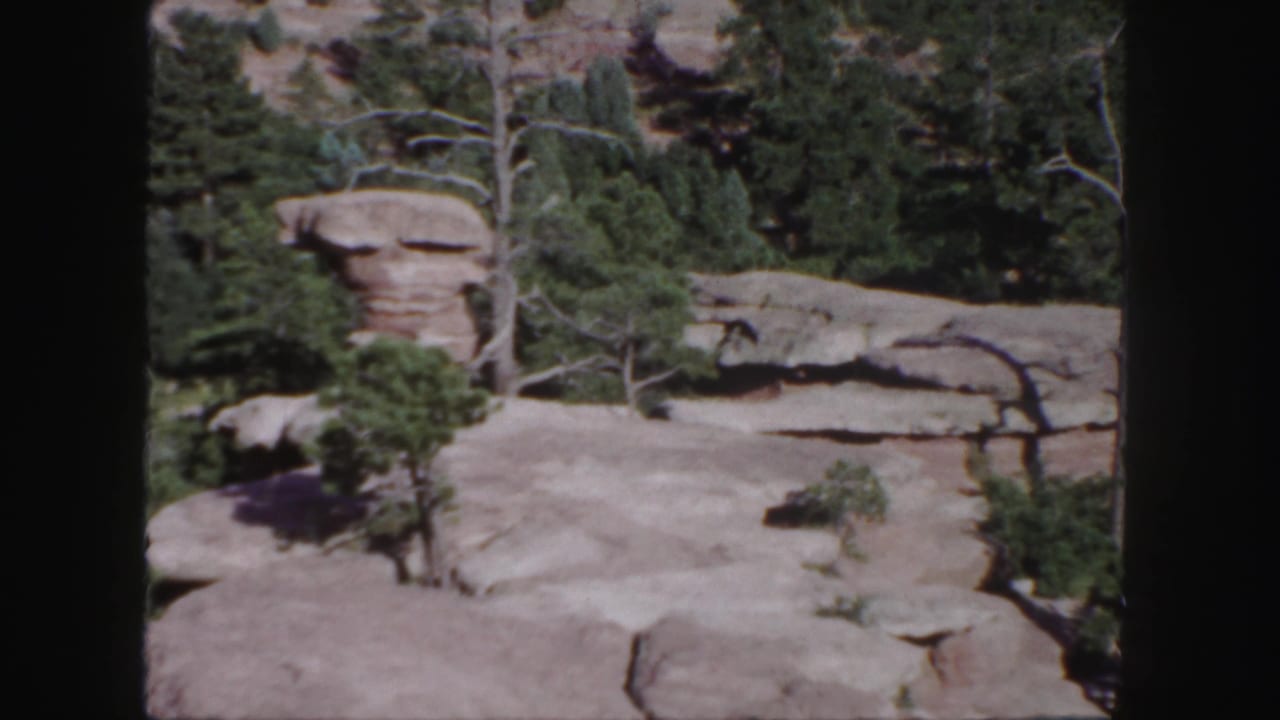 Layered rock formation with trees and shrubs in a sunlit landscape.