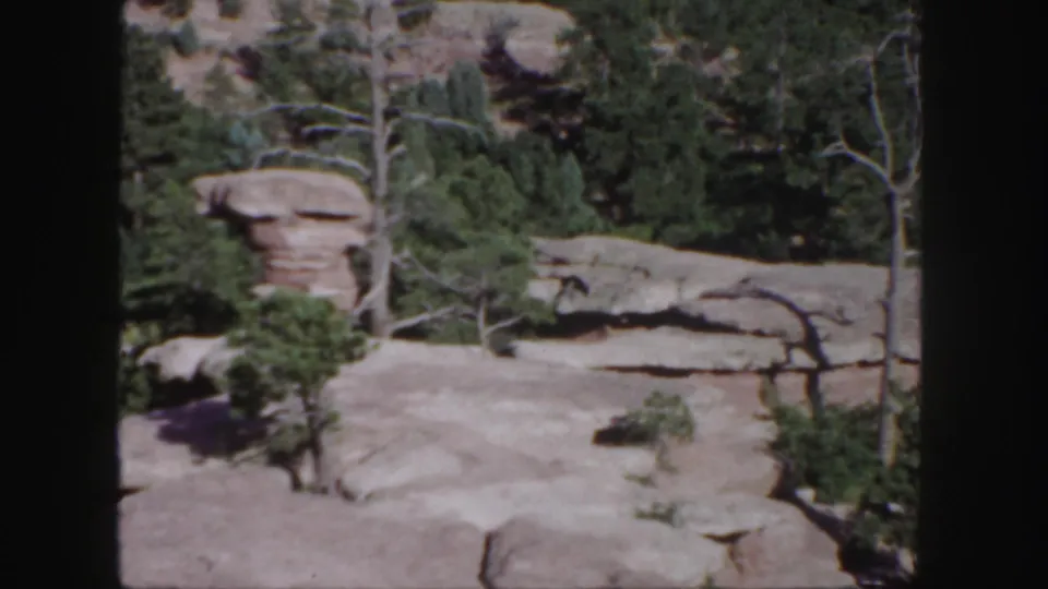 1958 Colorado 8mm view of a rounded rock outcrop above pale stone ground and dense evergreen foliage.
