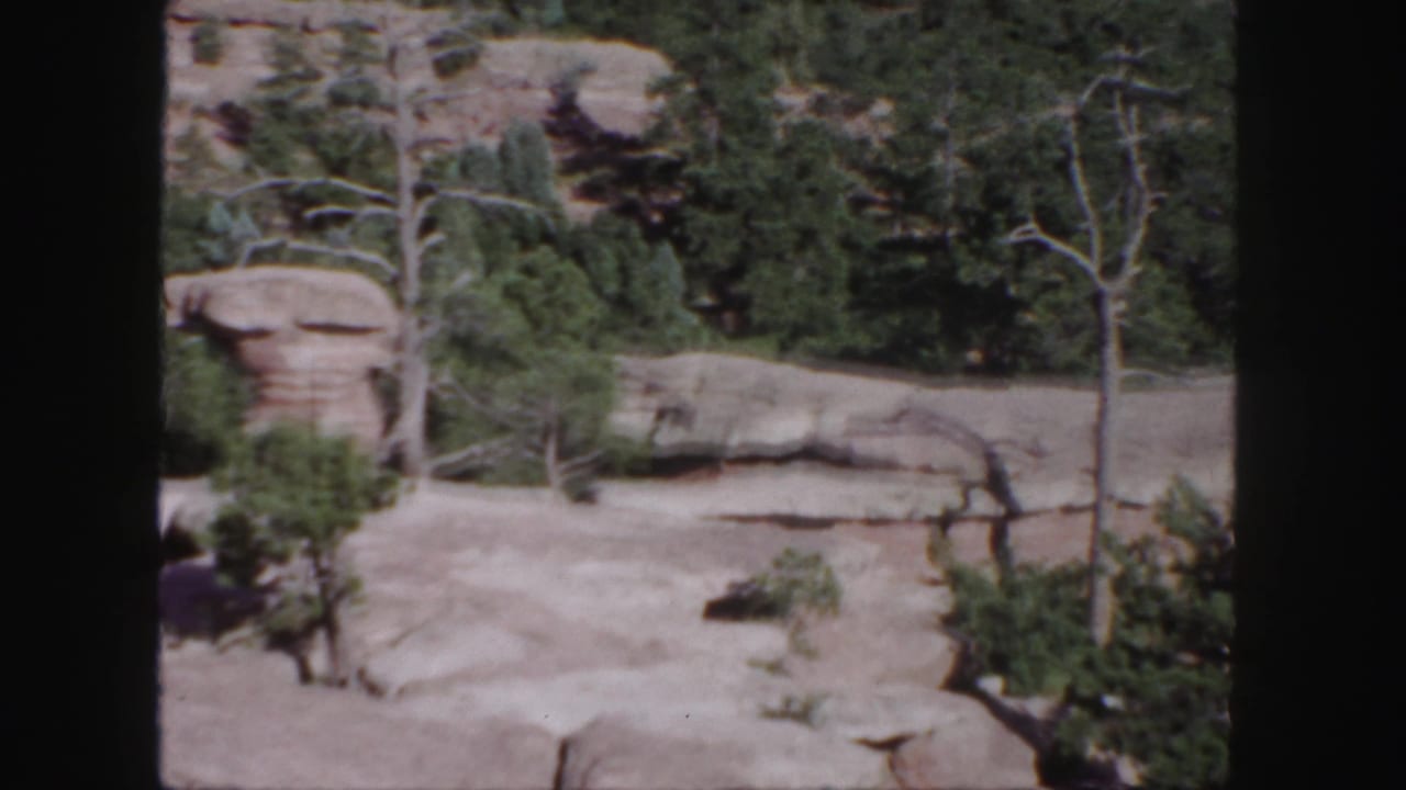 Layered sandstone and scrubby trees with a rounded rock form near the left side.