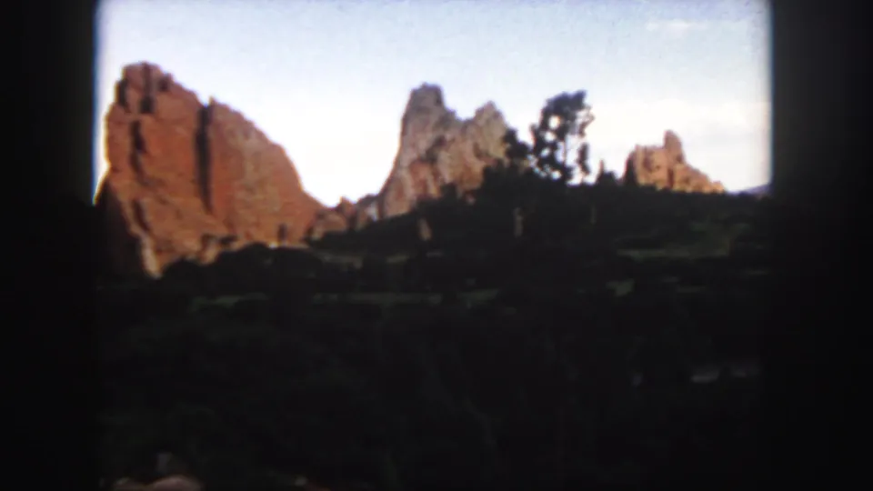 Colorado red rock formations appear behind shadowed vegetation, with a tree silhouette near the center of the frame.