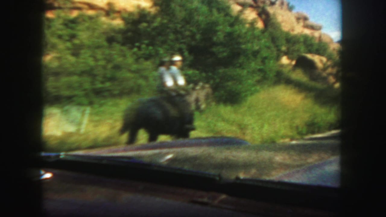 A rider on a dark horse passes near the road with hills and grass behind.