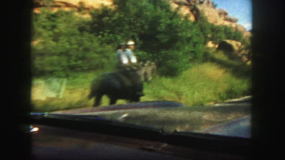 A horseback rider in light clothing passes the car on a sunny Colorado roadside, with brush and rocky slopes in the background.