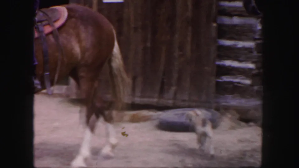 1958 Colorado home-movie view of a saddled brown horse and a light-colored dog outside a rustic log structure.