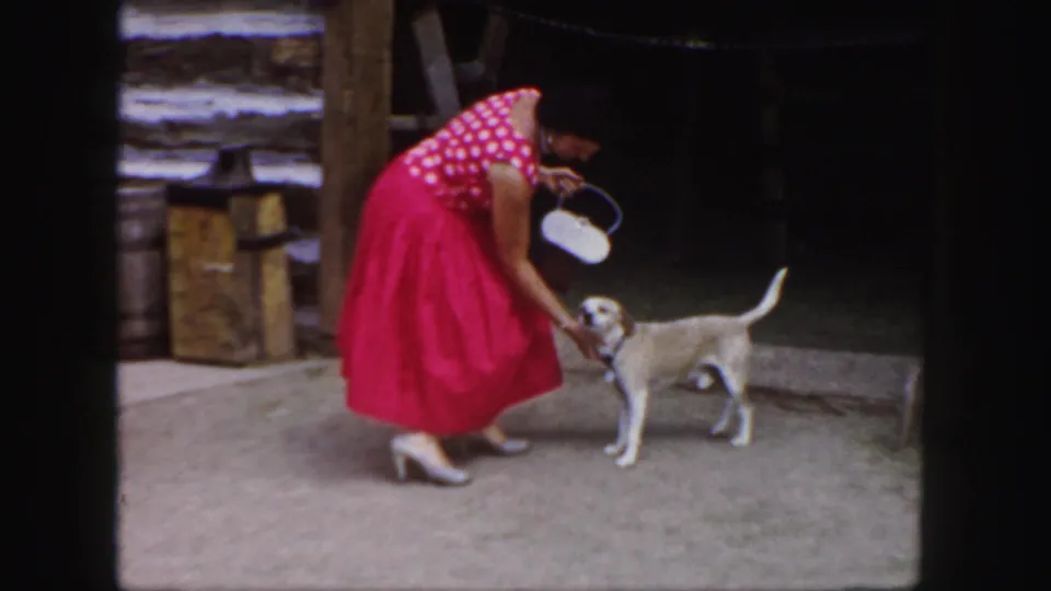 A woman in a red polka-dot dress and heels pets a small dog beside a rustic barn doorway in the 1958 Colorado home movie.