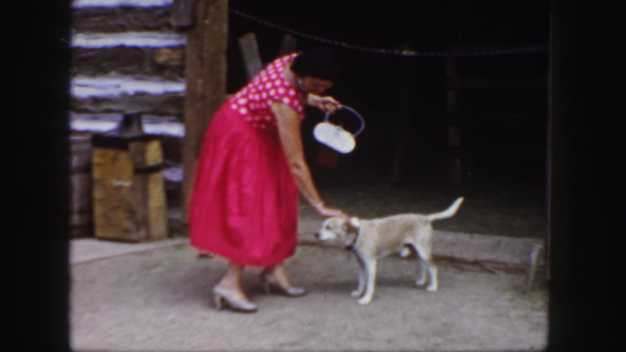 In a 1958 Colorado home-movie frame, a woman in a red polka-dot dress bends toward a light-colored dog outside a rustic log cabin.