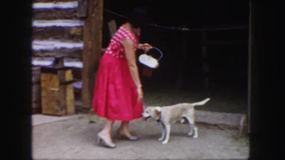 The woman continues greeting the light-colored dog outside the Colorado log cabin, holding a white handbag near the dark doorway.