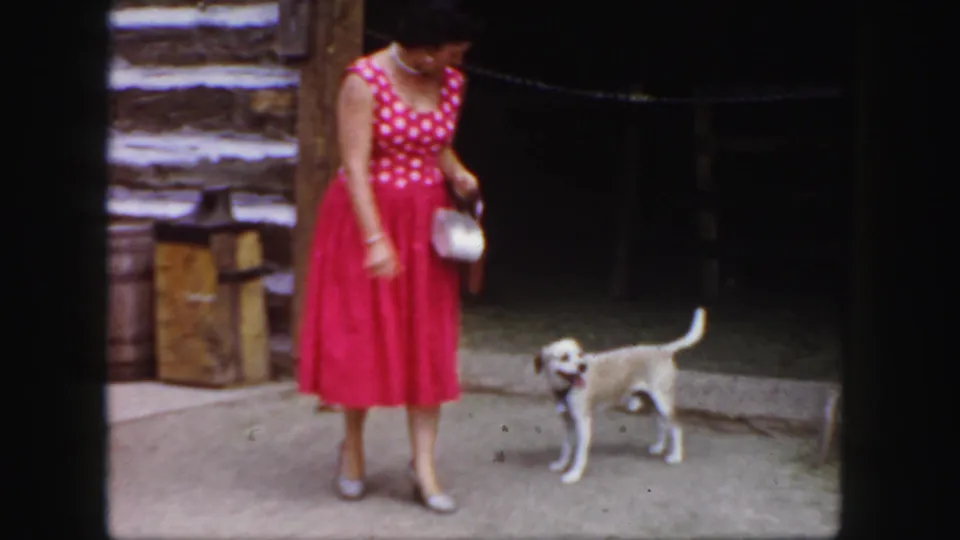 Outside the rustic cabin, the woman stands in a red dress while the small light-colored dog faces the camera on the path.
