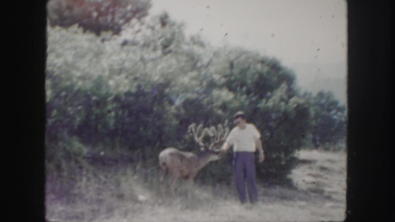 1958 Colorado 8mm frame of a man standing beside a buck with large antlers near shrubs and grass.