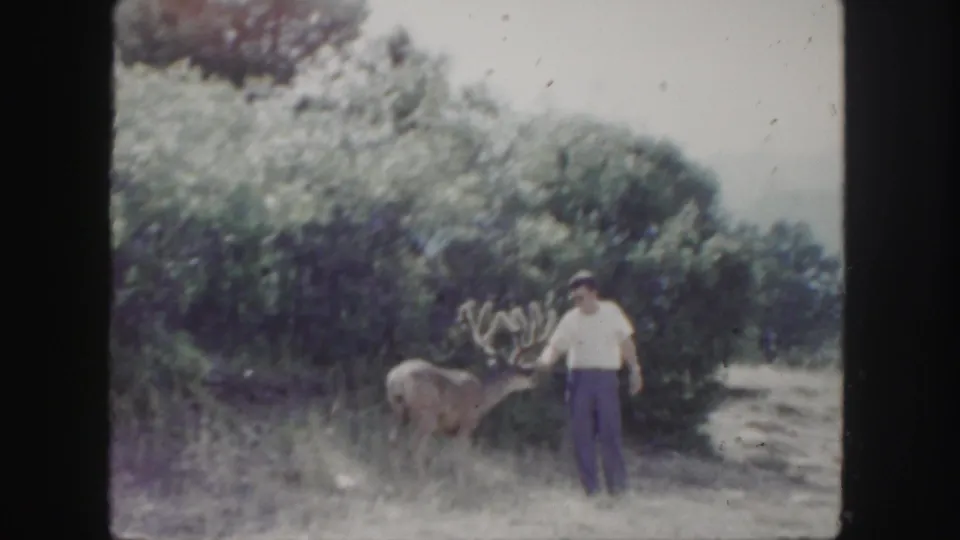 1958 Colorado 8mm frame of a man standing beside a buck with large antlers near shrubs and grass.