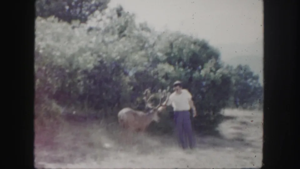 1958 Colorado home-movie frame showing a man next to a buck with large antlers by brush and a dirt path.
