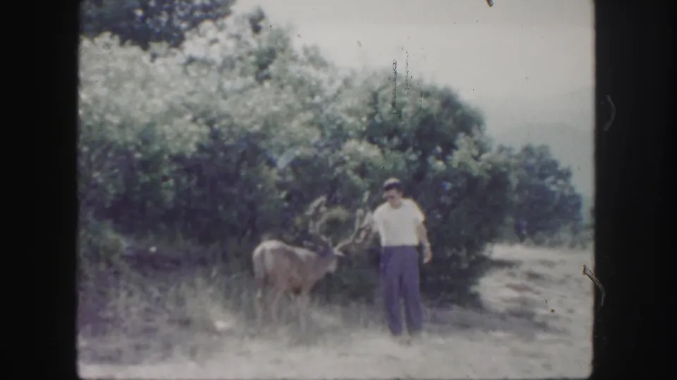 1958 Colorado 8mm frame of a buck lowering its head near a man standing in sunlit grass and brush.