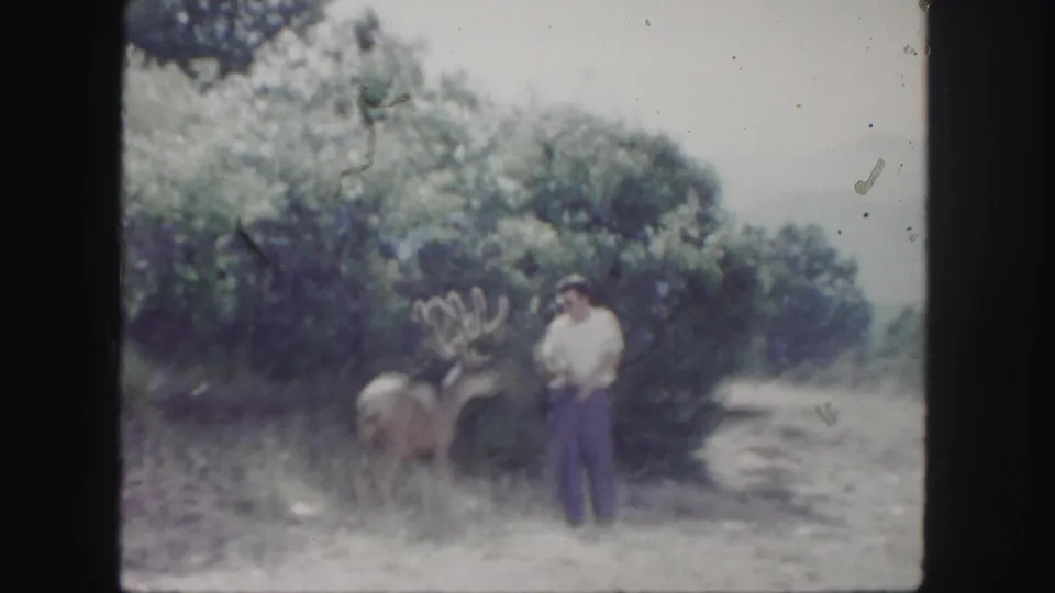 1958 Colorado home-movie frame with a man and antlered buck in a clearing bordered by shrubs and trees.
